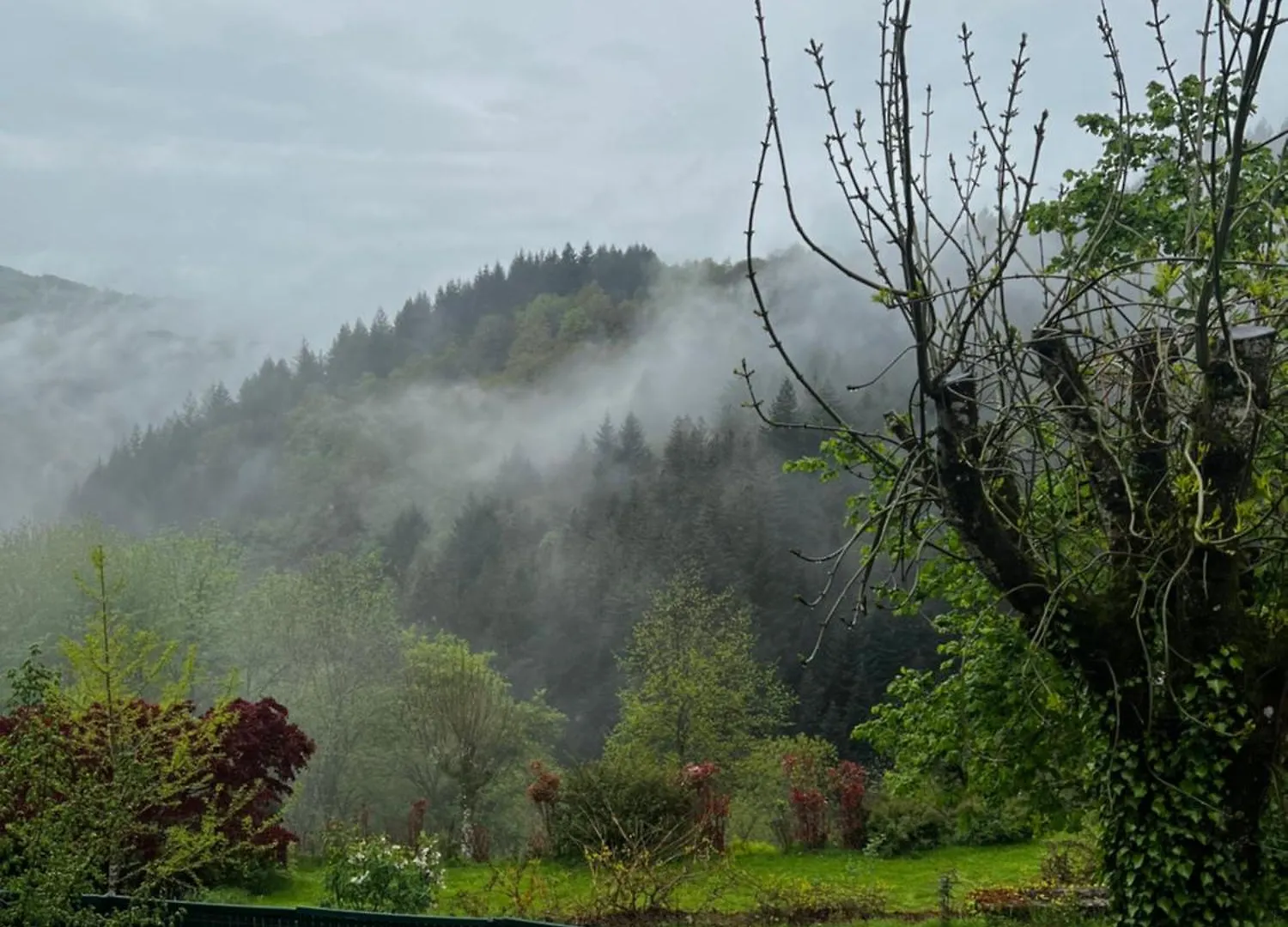 Bed & Breakfast Maison D'Hotes & Savonnerie De Bonnefon Saint-Chely-d'Aubrac